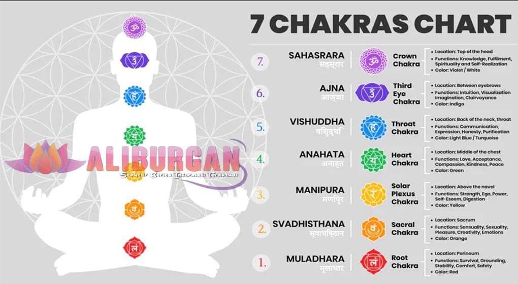 Mengenal Chakra: Energi Spiritual dalam Praktik Yoga dan Meditasi