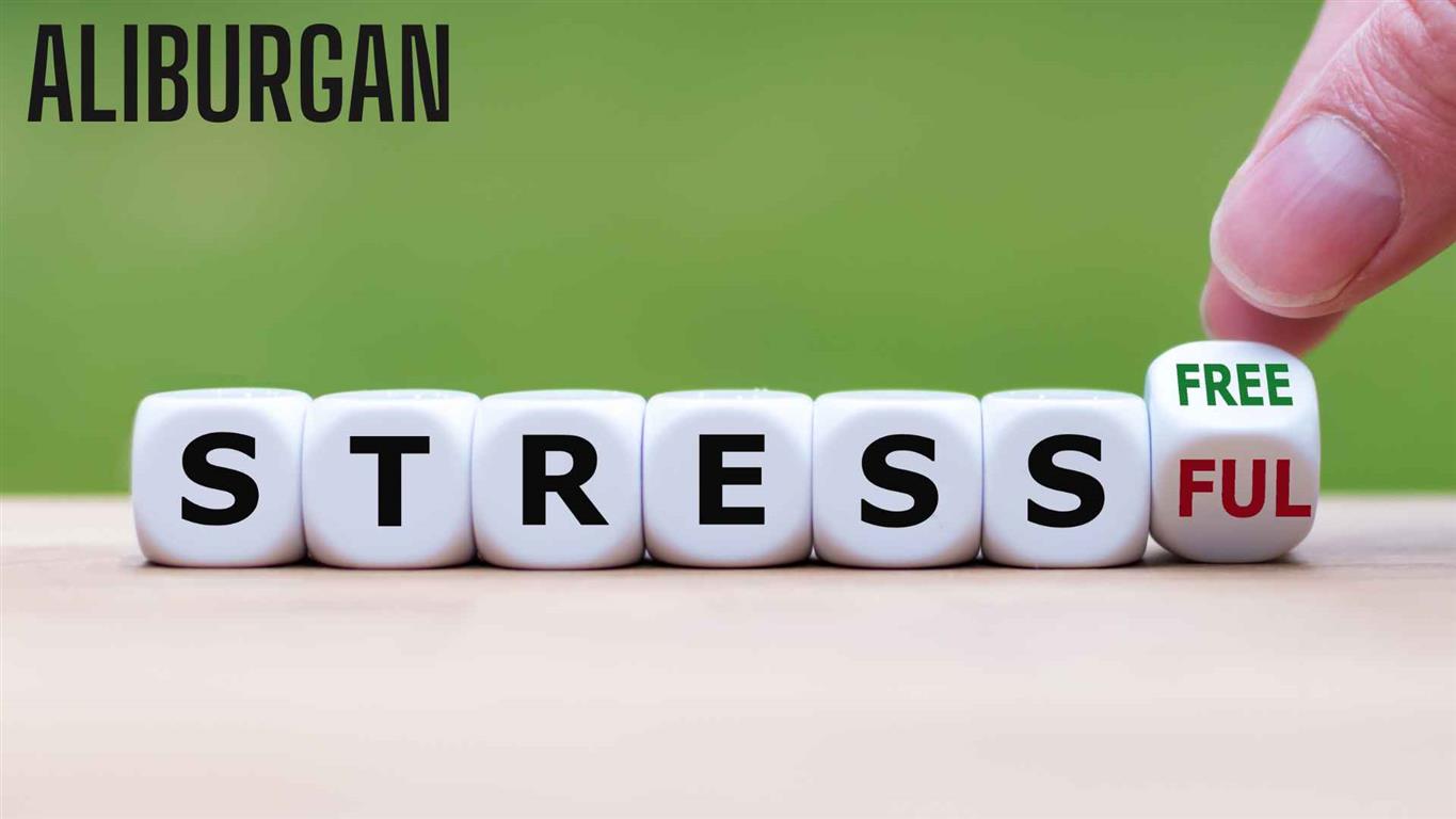 Pengertian Stres: Memahami Asal Usul, Jenis, dan Dampak nya