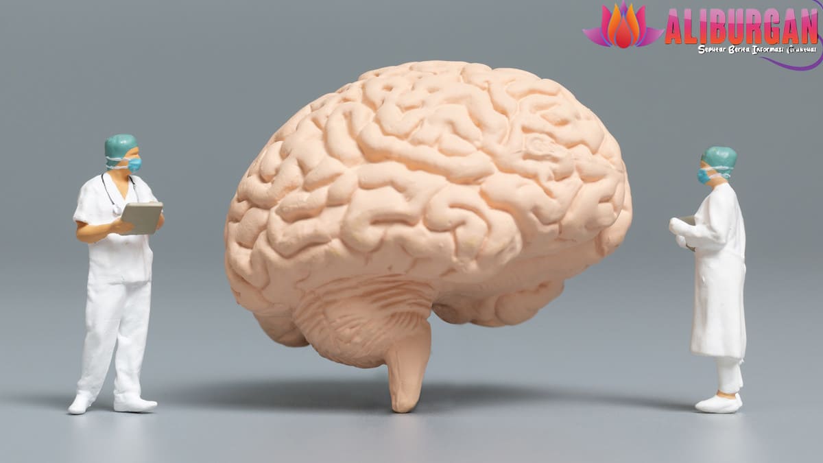 Nutrisi Otak: Makanan untuk Kesehatan Mental